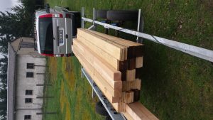 Treibholz für das Floß