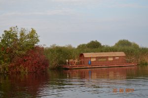 Das Driftholt auf dem Amazonas des Nordens